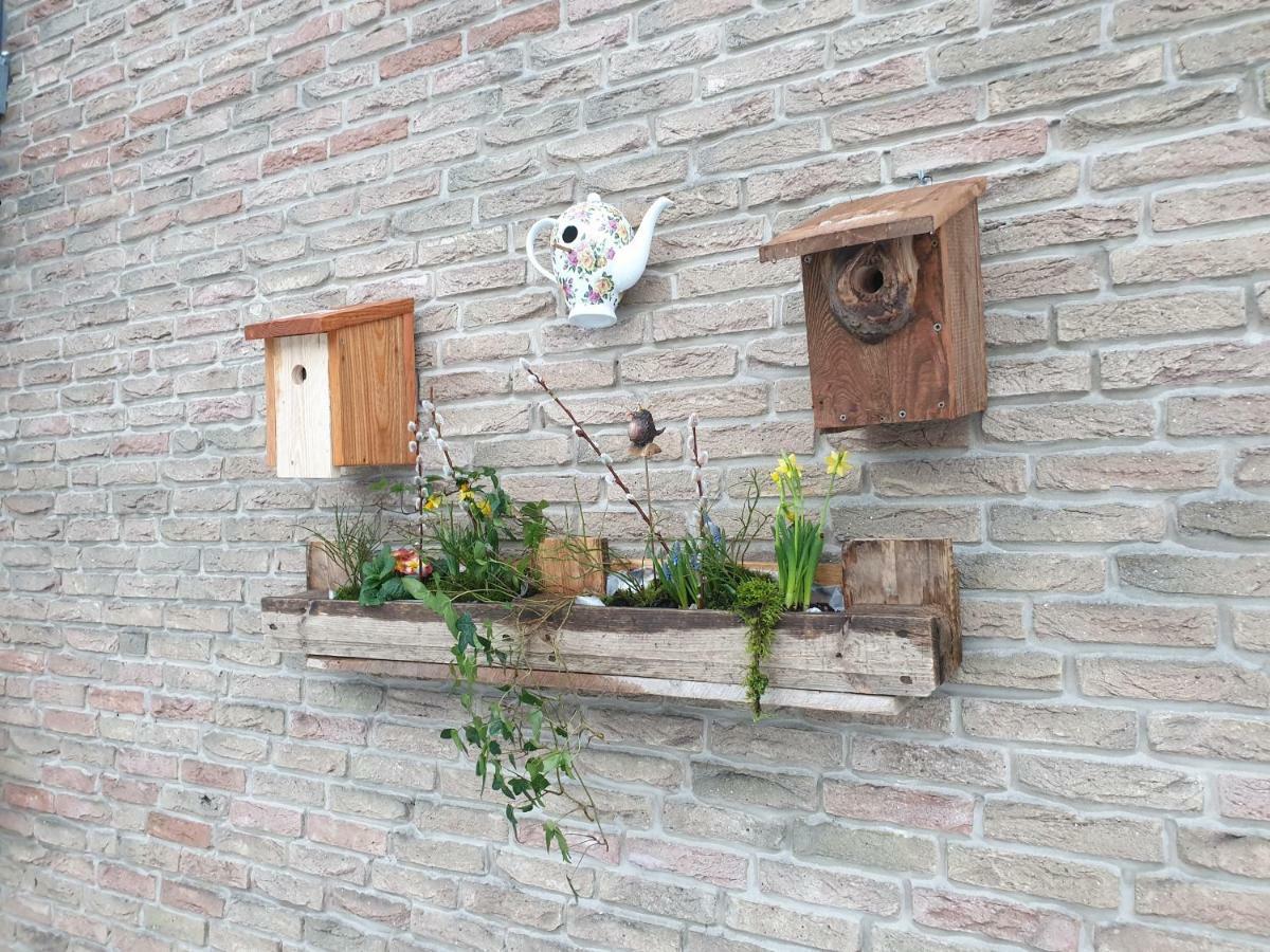 Ferienwohnung Vogelvilla Altenbeken Exterior foto